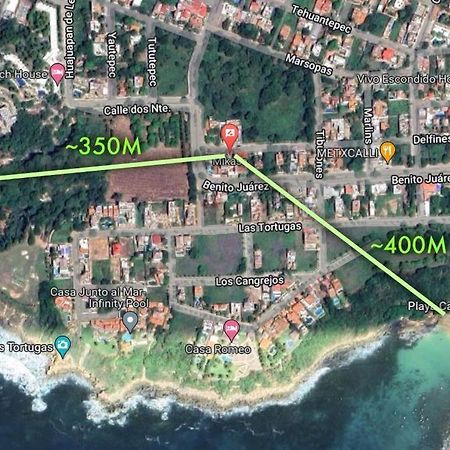 Studio -Trees At Mikasa- Near Beach, Pool, Fast Wifi, Ac & King Bed Puerto Escondido  Bagian luar foto