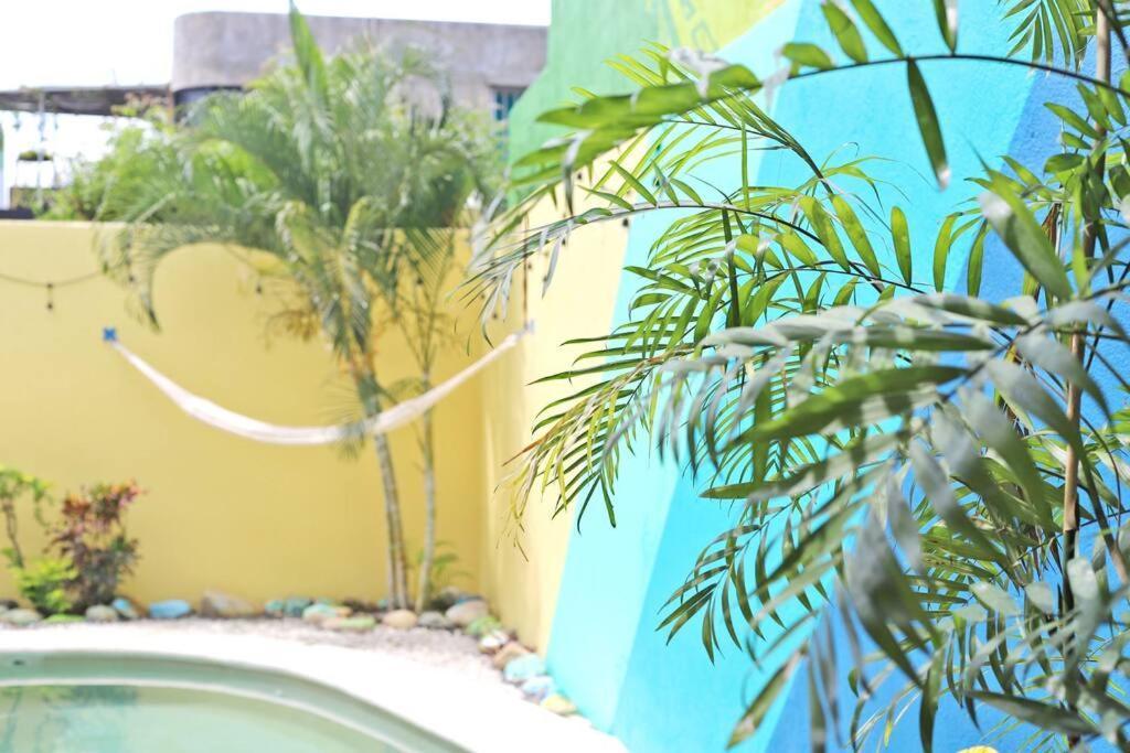 Studio -Trees At Mikasa- Near Beach, Pool, Fast Wifi, Ac & King Bed Puerto Escondido  Bagian luar foto